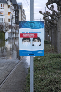 Hochwasser in Königswinter