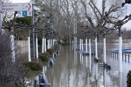 Hochwasser in Königswinter