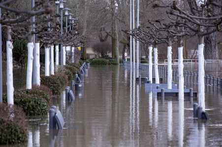 Hochwasser in Königswinter