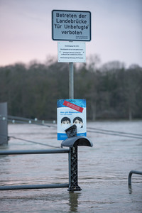 Hochwasser in Königswinter