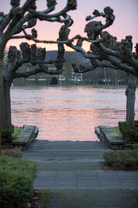 Hochwasser in Königswinter