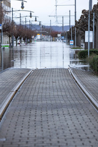 Hochwasser in Königswinter