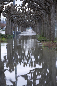Hochwasser in Königswinter