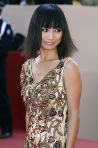 Filmpremiere 'Chanson der Liebe', Cannes Film Festival 2007