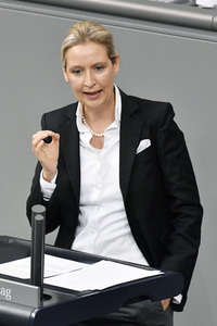 209. Sitzung des Deutschen Bundestages in Berlin