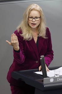 210. Sitzung des Deutschen Bundestages in Berlin