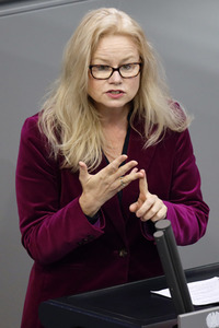 210. Sitzung des Deutschen Bundestages in Berlin