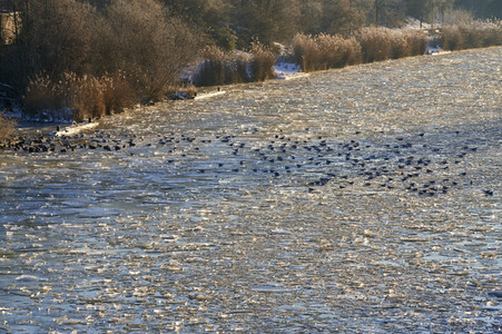 Eis auf dem Mittellandkanal in Hannover