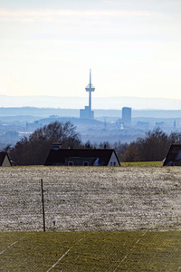 Fernblick auf Köln