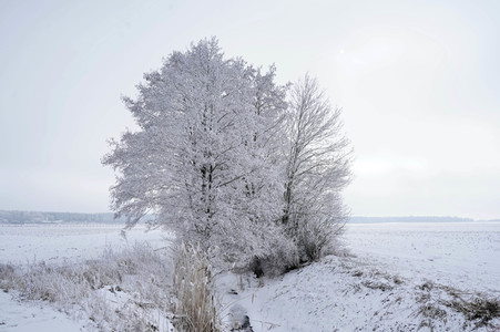 Symbolfoto Winter
