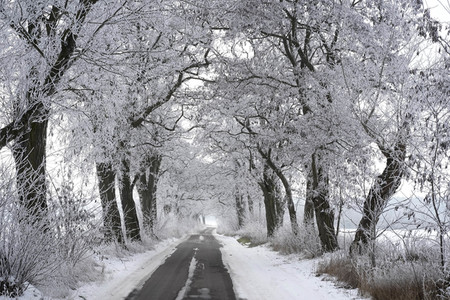 Symbolfoto Winter