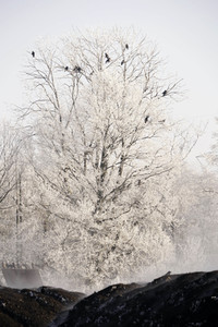 Symbolfoto Winter