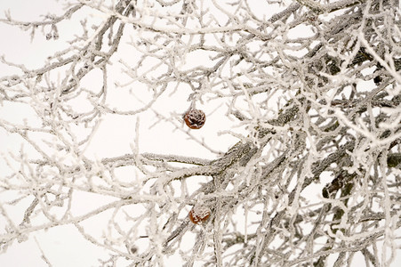 Symbolfoto Winter