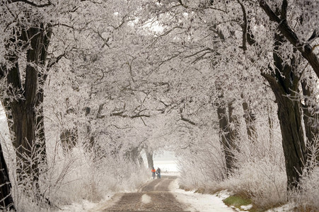 Symbolfoto Winter
