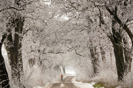 Symbolfoto Winter