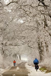 Symbolfoto Winter