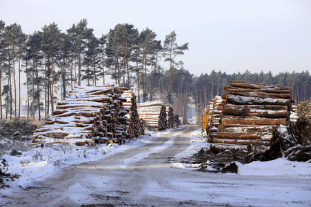 Baustelle der Tesla Gigafactory 4 in Grünheide