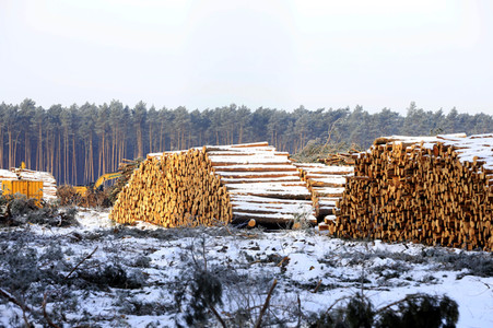Baustelle der Tesla Gigafactory 4 in Grünheide