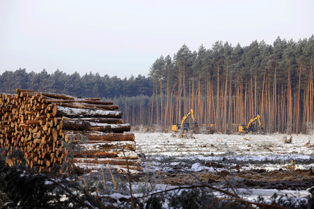 Baustelle der Tesla Gigafactory 4 in Grünheide