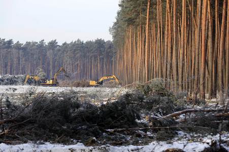 Baustelle der Tesla Gigafactory 4 in Grünheide