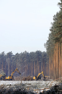 Baustelle der Tesla Gigafactory 4 in Grünheide