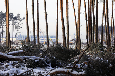 Baustelle der Tesla Gigafactory 4 in Grünheide