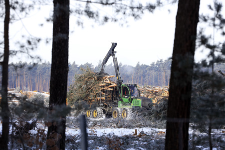 Baustelle der Tesla Gigafactory 4 in Grünheide