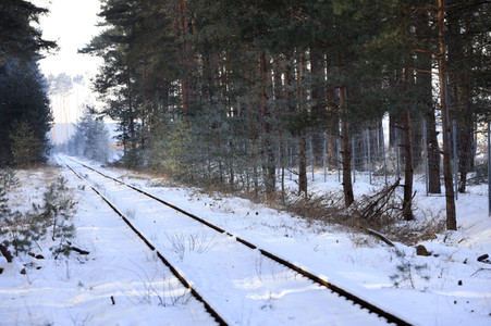 Baustelle der Tesla Gigafactory 4 in Grünheide