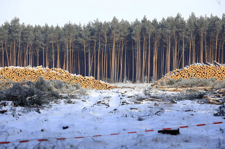 Baustelle der Tesla Gigafactory 4 in Grünheide