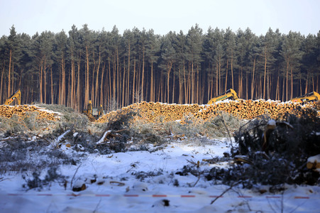 Baustelle der Tesla Gigafactory 4 in Grünheide