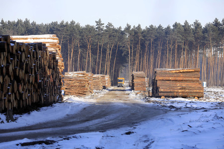 Baustelle der Tesla Gigafactory 4 in Grünheide