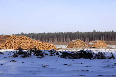 Baustelle der Tesla Gigafactory 4 in Grünheide