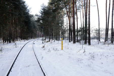 Baustelle der Tesla Gigafactory 4 in Grünheide