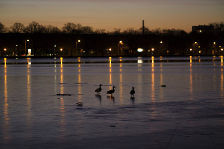 Der Maschsee in Hannover