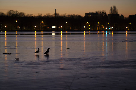 Der Maschsee in Hannover