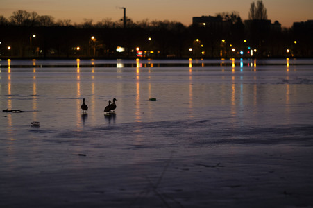 Der Maschsee in Hannover