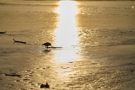 Der Maschsee in Hannover