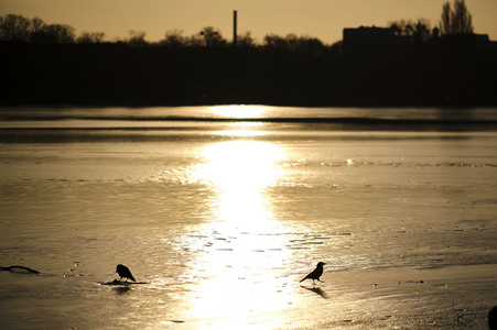 Der Maschsee in Hannover