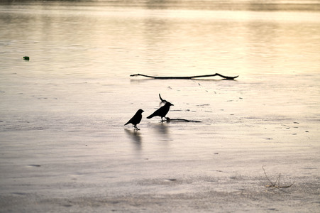 Der Maschsee in Hannover