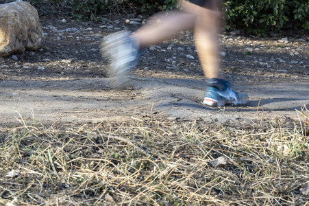 Symbolfoto Baumwurzeln unter dem Gehweg