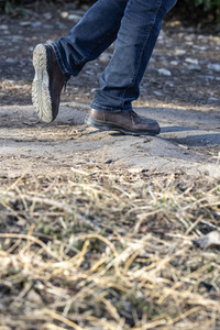 Symbolfoto Baumwurzeln unter dem Gehweg