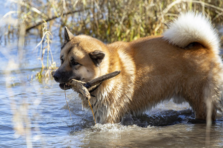 Freizeitsport in Köln