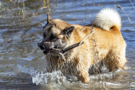 Freizeitsport in Köln