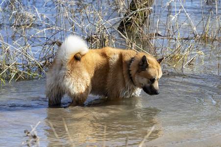 Freizeitsport in Köln