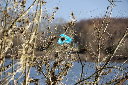 Hochwasserrückstände in Köln