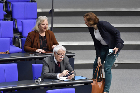 213. Sitzung des Deutschen Bundestages in Berlin