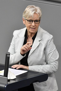 213. Sitzung des Deutschen Bundestages in Berlin