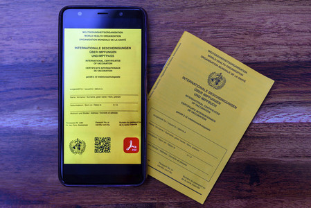 Symbolfoto Impfpass