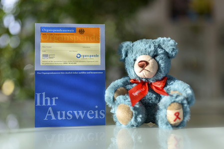 Symbolfoto Organspende