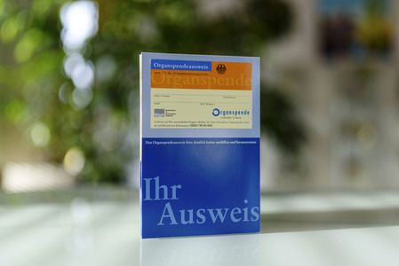 Symbolfoto Organspende
